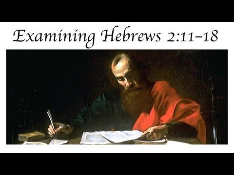 Hebrews 2:11–18 Examined