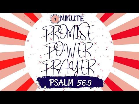 Promise Power Prayer:  Quick Prayers before bed Psalm 56:9