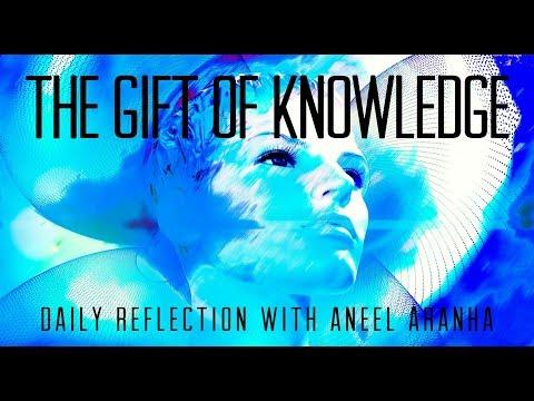 Daily Reflection With Aneel Aranha | John 1:47-51 | September 29, 2018