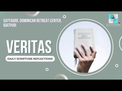 VERITAS | Daily Scripture Reflections | Acts 6: 8-15 |  Fr. Bineesh John Masias OP | May 2