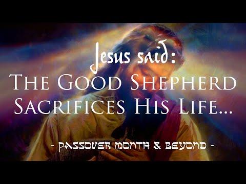 Daily Scripture - John 10:11 – Jesus said: The Good Shepherd Sacrifices His Life for the Sheep