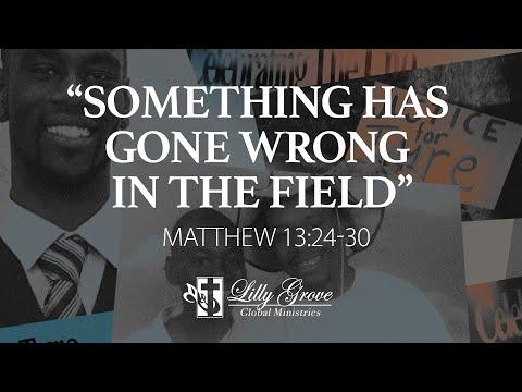 Something Has Gone Wrong in the Field (Matthew 13:24-30) - Rev. Terry K. Anderson