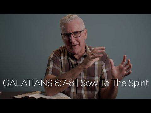 Galatians 6:7-8 | Sow To The Spirit