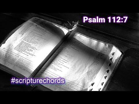 Psalm 112:7 with SOOTHING Array Mbira #scripturechords