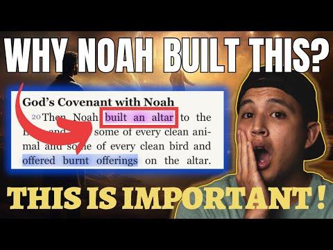 Why Is THIS The First Thing Noah Does Off The Ark? | Bible Study in Genesis 8:14-20