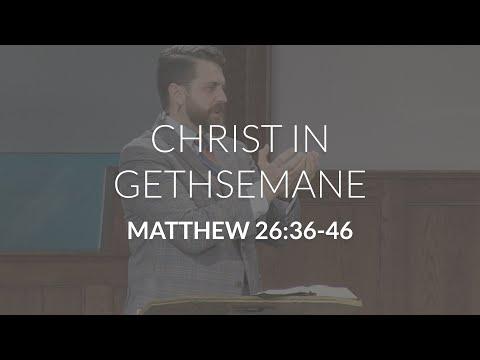 Christ in Gethsemane (Matthew 26:36-46)
