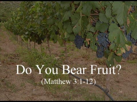 Do You Bear Fruit? (Matthew 3:1-12)