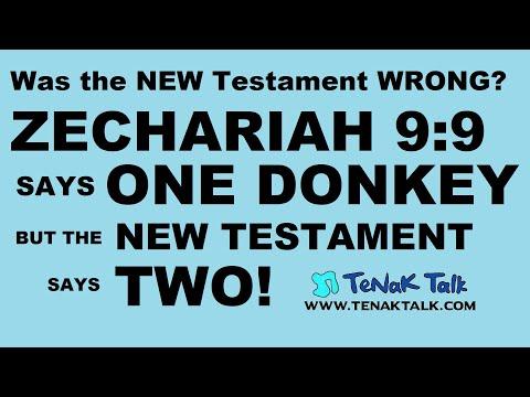 965 Zech 9:9 Is the New Testament WRONG? Was it ONE Donkey or TWO  w/ Rabbi Tovia Singer