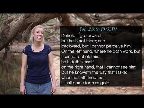How to sing Job 23:8-10 KJV - Behold, I go forward but he is not there - Musical Memory Verse