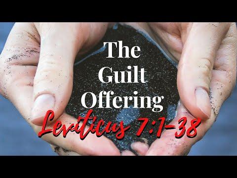 Leviticus 7:1-38 Repayment Offerings (Female Narration for sleep and relaxation)