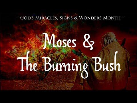 Daily Scripture - Exodus 3:2‭-‬10 - Moses & The Burning Bush - God's Miracles, Signs & Wonders Month
