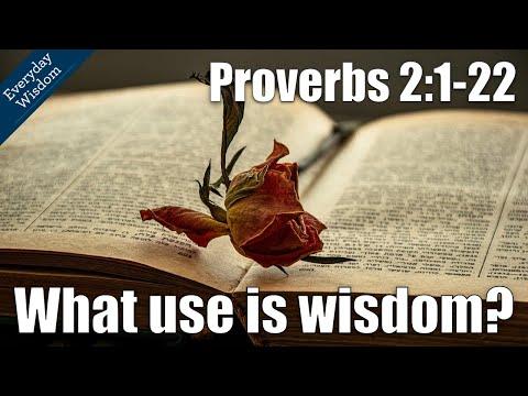 The Benefits of Wisdom | Proverbs 2:1-22 (Everyday Wisdom Sermon Series - Pastor Jonathan Romig)