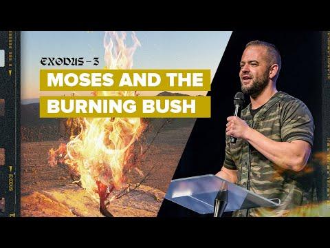 Exodus 3:1-15: Moses and the Burning Bush | Exodus | Ryan Visconti
