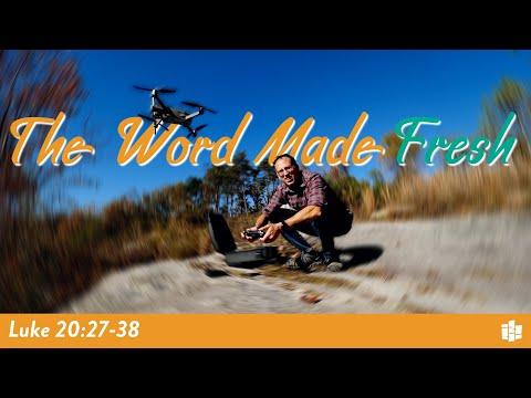 BIKES, DRONES, & BIBLES, OH MY! -- The Word Made Fresh: Luke 20:27-38