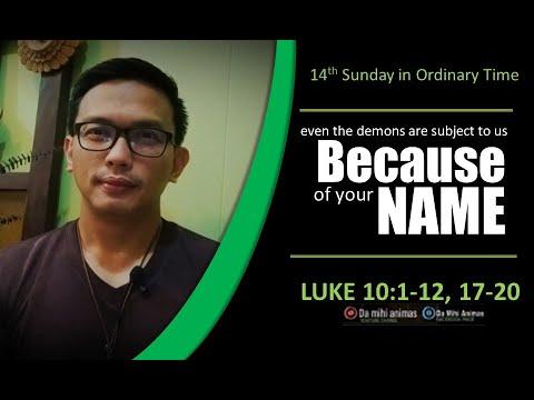14th Sunday in Ordinary Time/ Luke 10:1-12, 17-20