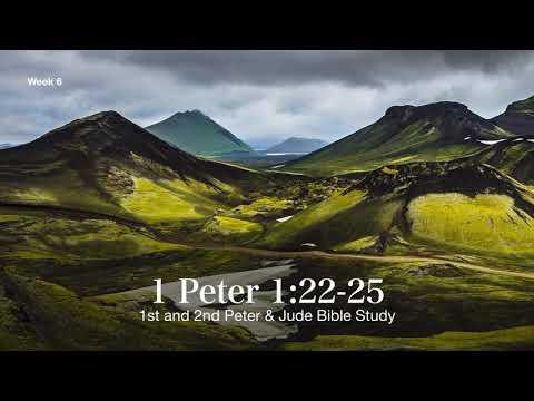 Week 6 - 1 Peter 1:22-25 (Peter & Jude Bible Study)