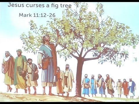 Jesus Curses a Fig Tree - Mark 11 : 12-26