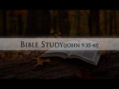 Bible Study(John 9:35-41)