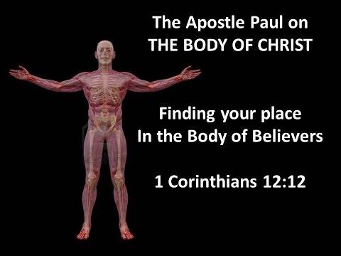 You, Your SHAPE &amp; The Body of Christ - 1 Corinthians 12:12