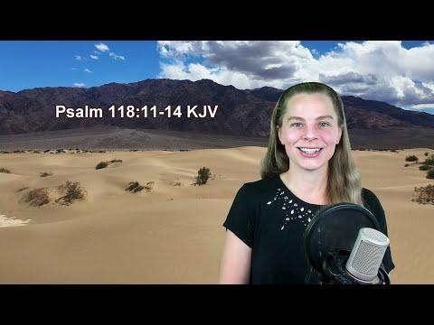 Psalm 118:11-14 KJV - Salvation - Scripture Songs