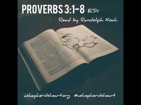 Proverbs 3:1-8