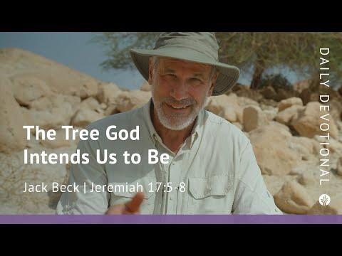 The Tree God Intends Us to Be | Jeremiah 17:5–8 | Our Daily Bread Video Devotional