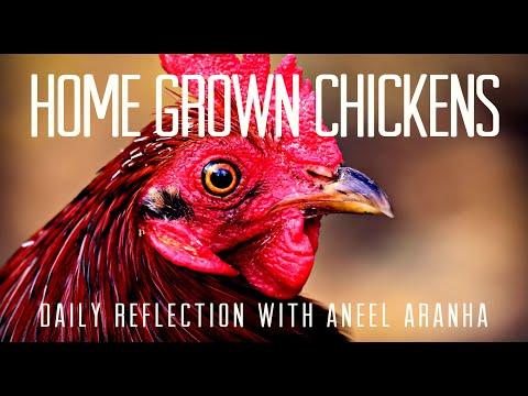 Daily Reflection with Aneel Aranha | Mark 6:1-6 | February 5, 2020