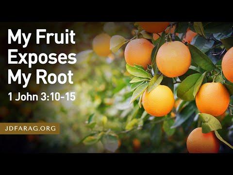 My Fruit Exposes My Root - 1 John 3:10-15 – August 6th, 2023