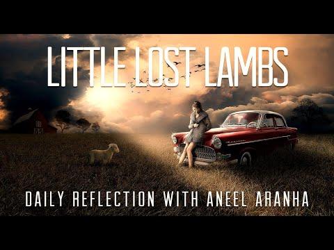 Daily Reflection with Aneel Aranha | Matthew 18:12-14 | December 10, 2019