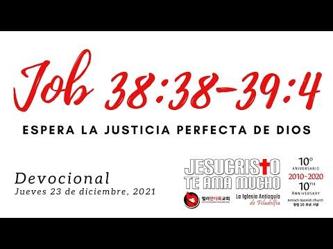 Devocional 12/23/2021 - Job 38:39-39:4 - Espera la justicia perfecta de Dios