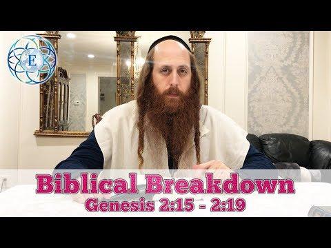 Biblical Breakdown with Rav Dror, Genesis 2:15 - 2:19