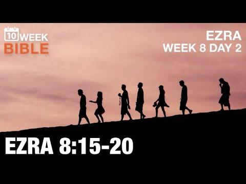 Returning to Jerusalem | Ezra 8:15-20 | Week 8 Day 2 Study of Ezra