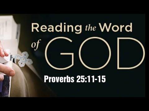 15.Jan.2021 Bible Reading, Proverbs 25:11-15