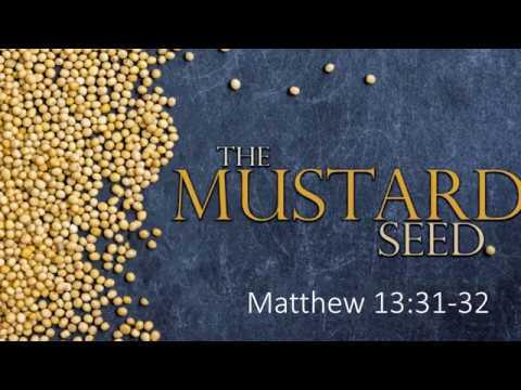 Parable of the Mustard Seed In Prophecy   Matthew 13:31-32