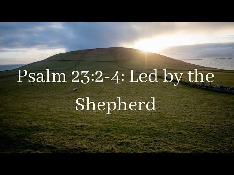 Psalm 23:2-4: Led by the Shepherd