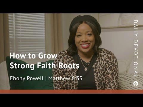 How to Grow Strong Faith Roots | Matthew 6:33 | Our Daily Bread Video Devotional