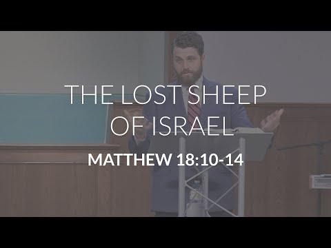 The Lost Sheep of Israel (Matthew 18:10-14)