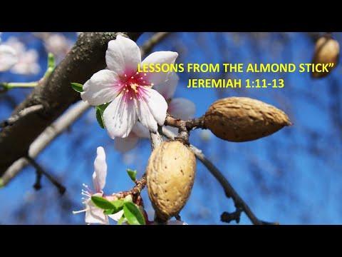 "Lessons From The Almond Stick" Jeremiah 1:11-13