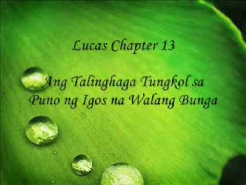 Patnubay Bible Study Luke 13:6-9