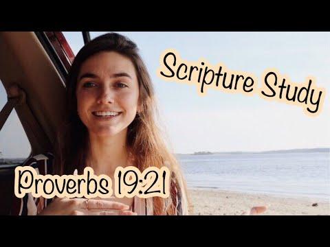 Scripture Study // Proverbs 19:21