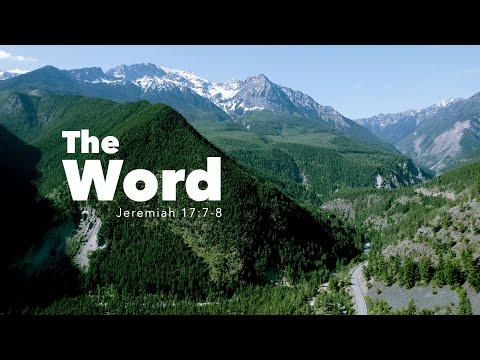 The WORD | Jeremiah 17:7-8 | Fountainview Academy