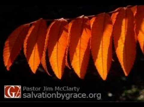 Reformed Apologetics by Jim McClarty of GCA [2 Peter 2:1]