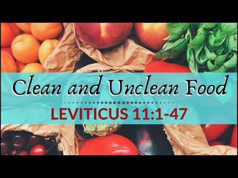 Leviticus 11:1-47 Clean And Unclean Food NIV Female Narration