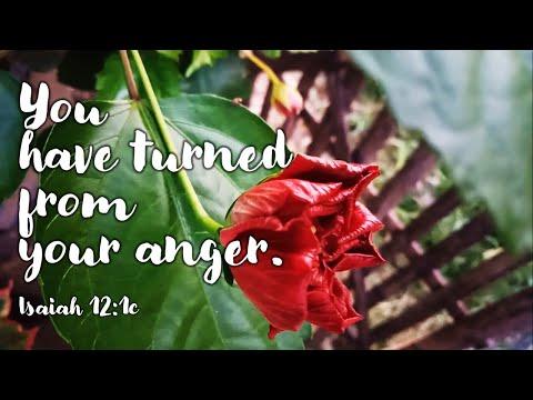 ISAIAH 12:2-3, 4BCD, 5-6 | YOU HAVE TURNED FROM YOUR ANGER.