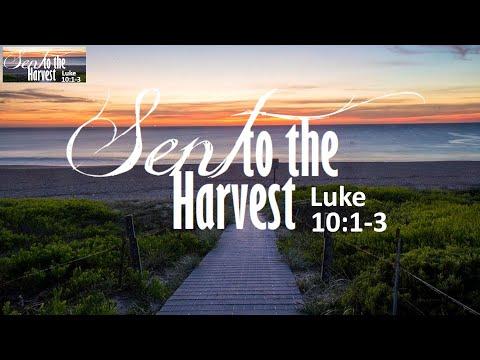 NLCC | NEWLIFE TORONTO | AUG 14 2022 | SENT TO THE HARVEST | LUKE 10:1-3