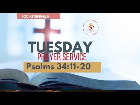 TUESDAY PRAYERS |PSALMS 34:11-20