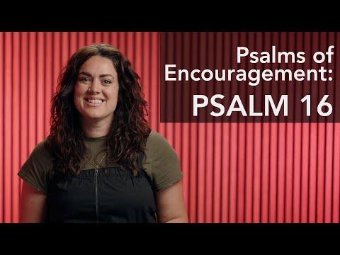 Psalms Day 2 - Daily Dose