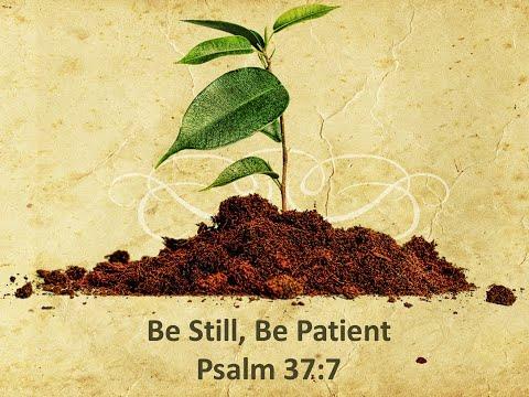 Devotion: Be Still and Wait Patiently- Psalm 37:7