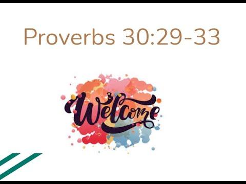 Proverbs 30: 29-33