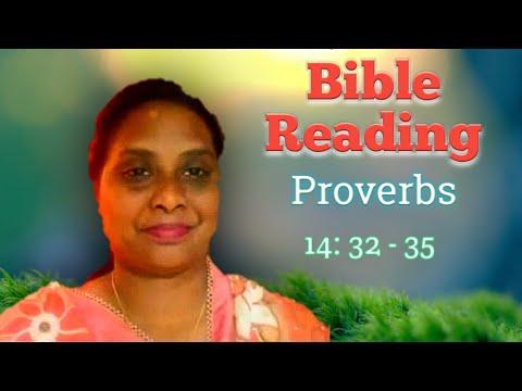24.09.2020 Bible Reading, Proverbs 14:32-35